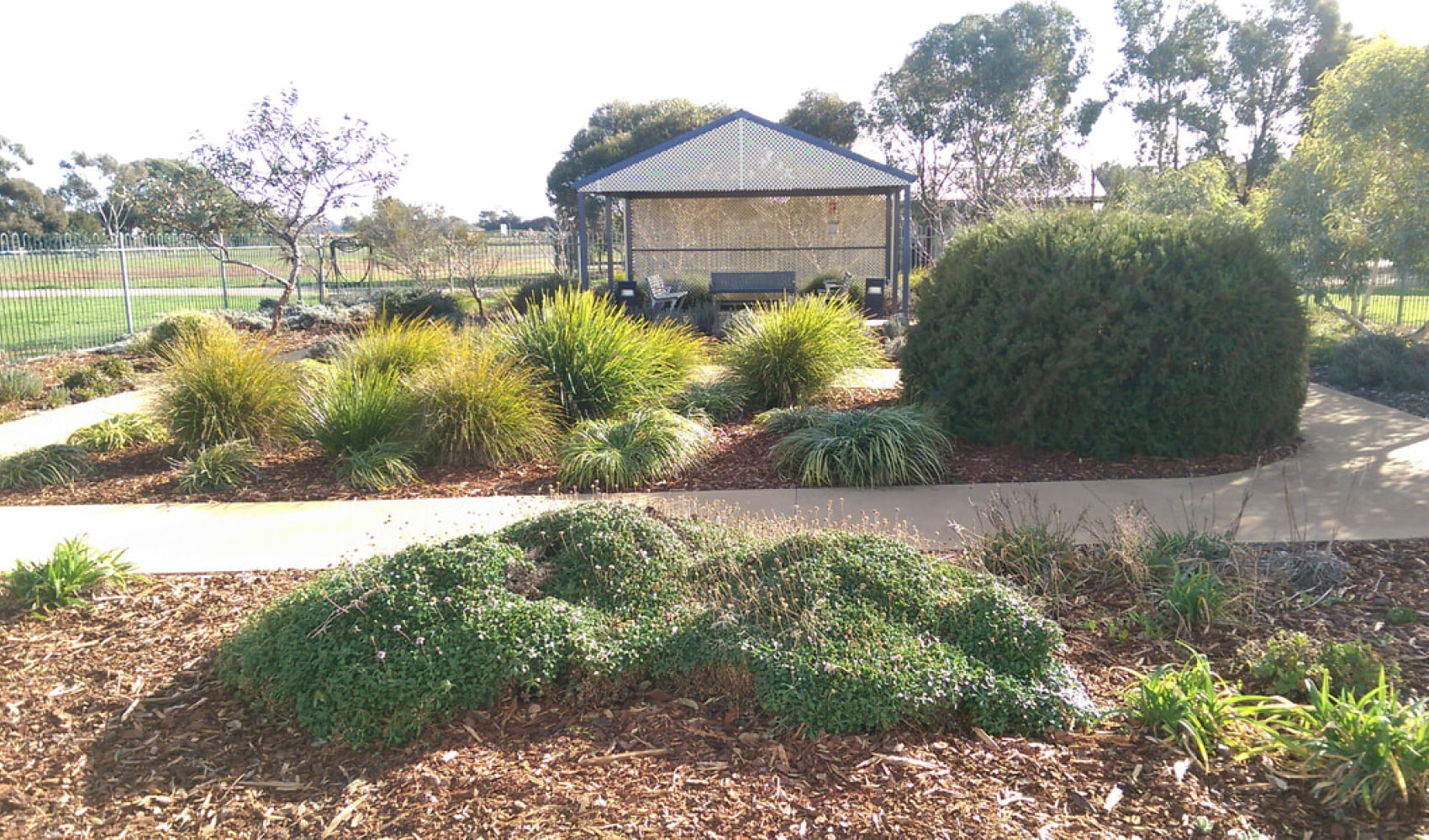 An outside view of the grounds, footpath and pergola.