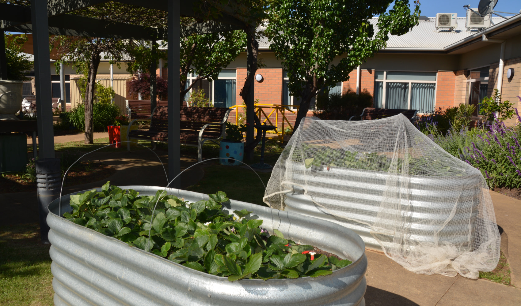 A view of the gardens at Karinya Nursing Home showing 2 raised wicking beds with lots of green plants. 