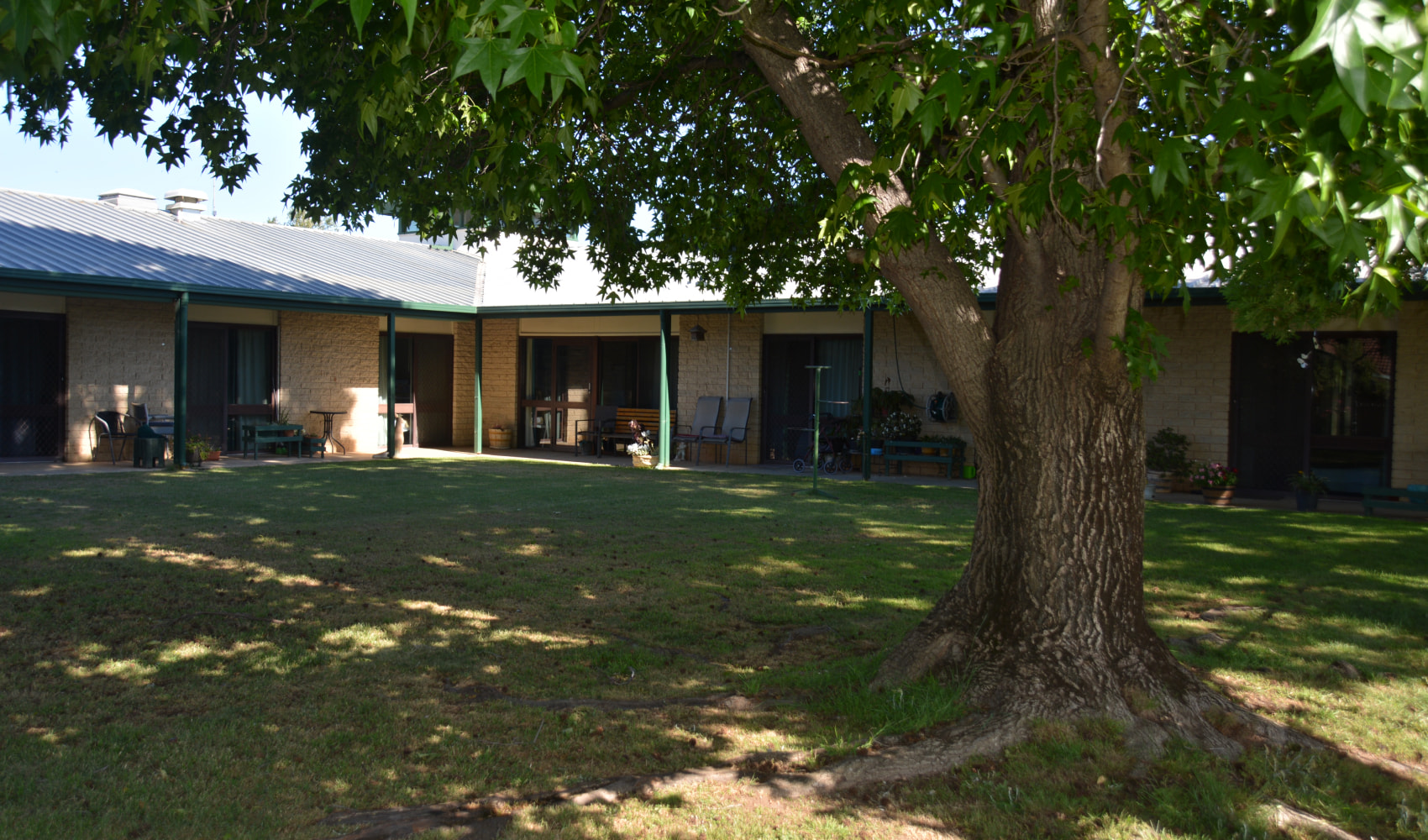 A large tree in the middle of a shaded garden at Numurkah Pioneer's Lodge. The grass is shaded in dappled light. 